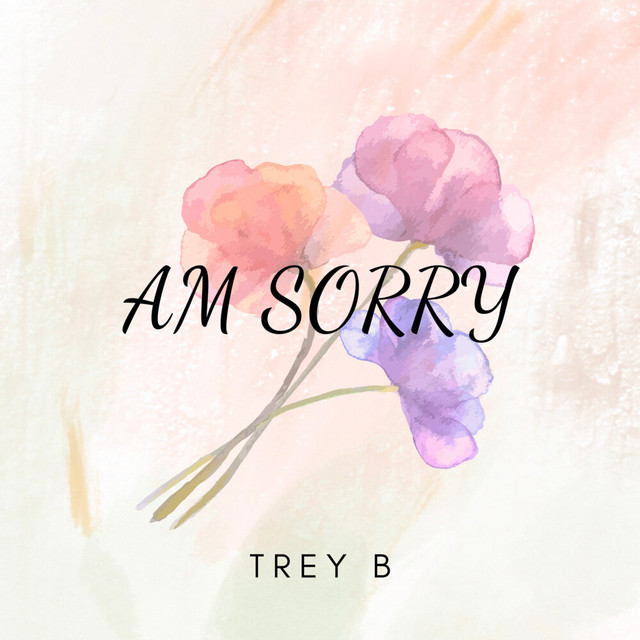 'Am Sorry' cover art