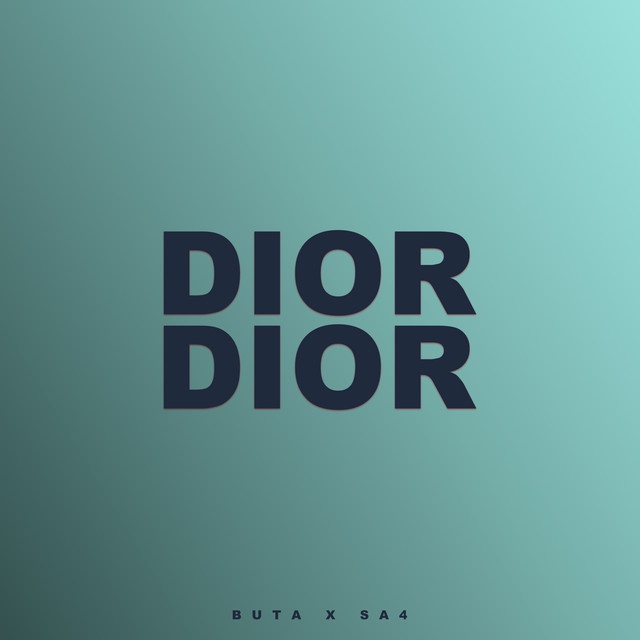 'DIOR DIOR' cover art