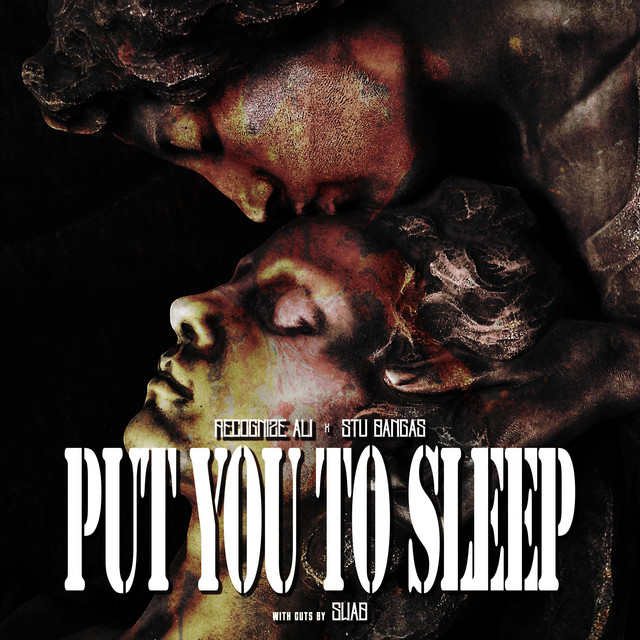 'Put You To Sleep' cover art