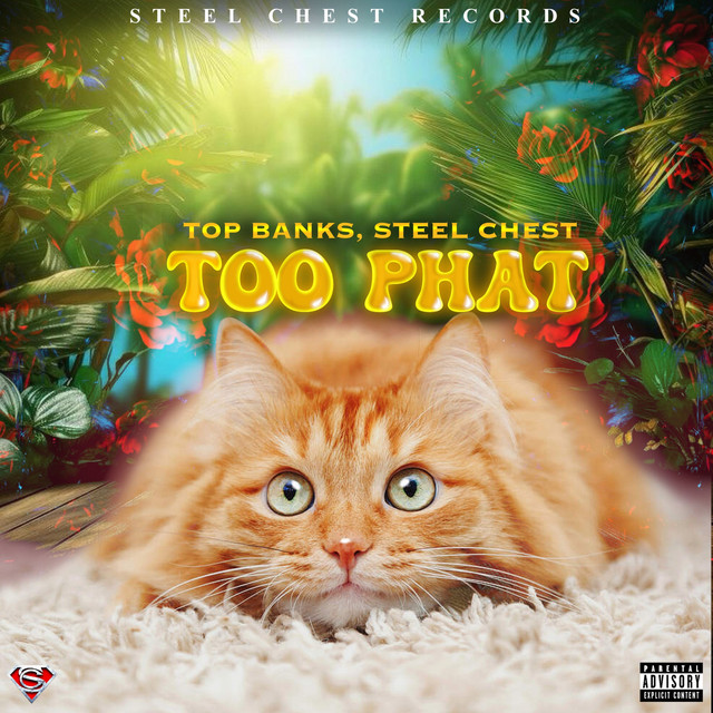 'Too Phat' cover art
