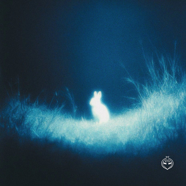 'DCE' cover art