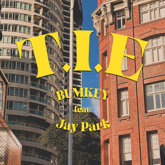 'T.I.E' cover art