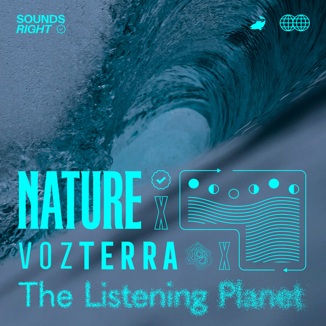 'Soothing Ocean Sounds' cover art