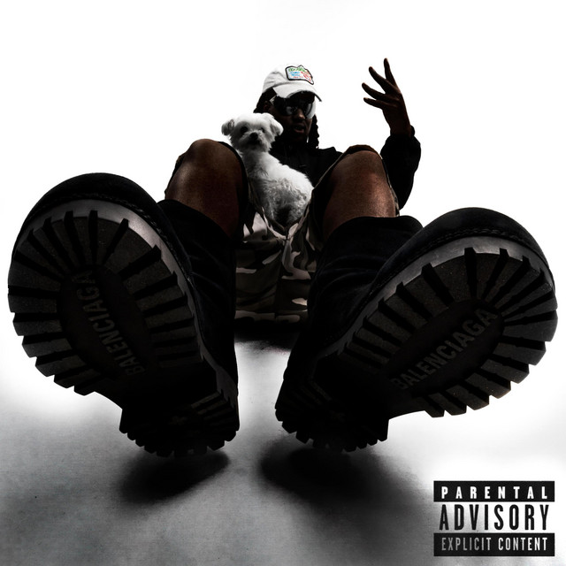 'JUSTIN BIEBER' cover art