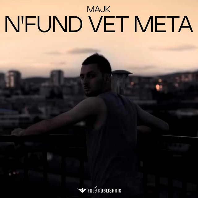 'N'fund vet meta' cover art