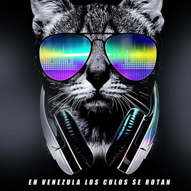 'En Venezula los Culos Se Rotan' cover art