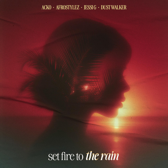 'Set Fire To The Rain' cover art