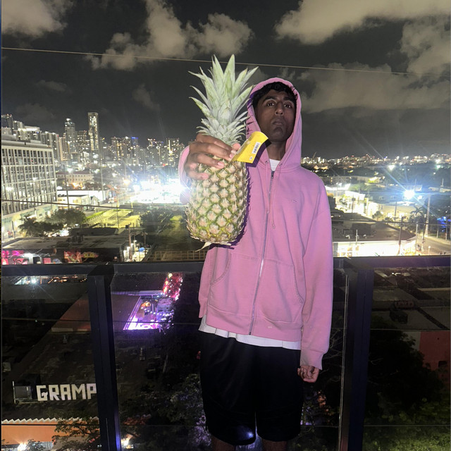 'FL Freestyles' cover art