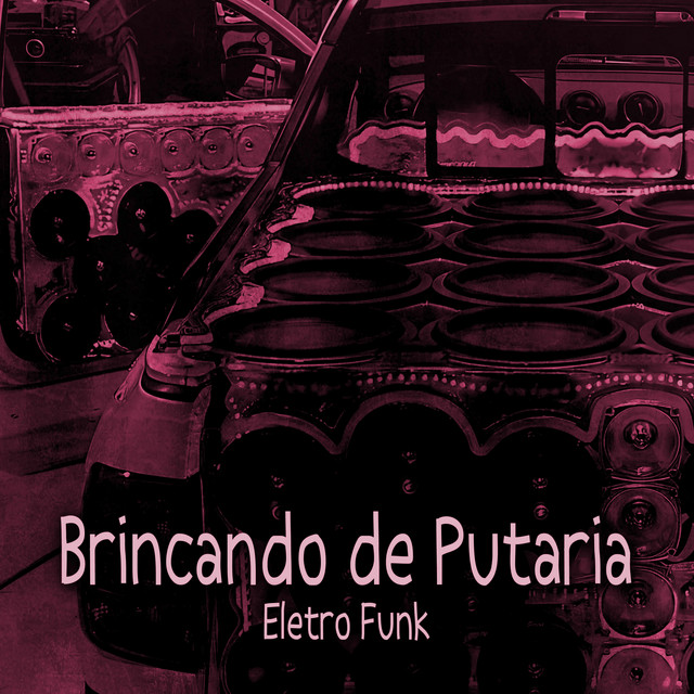 'Brincando de Putaria Eletro Funk' cover art