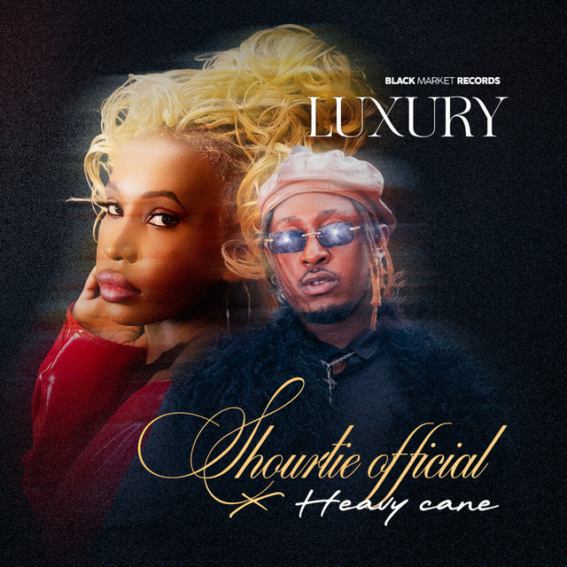 'Luxury' cover art