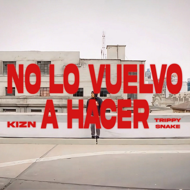 'No Lo Vuelvo a Hacer' cover art