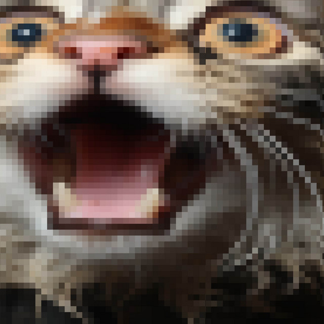 'low pixel silly cat gif' cover art