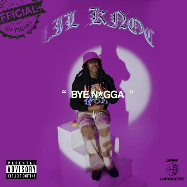'Bye Nigga' cover art