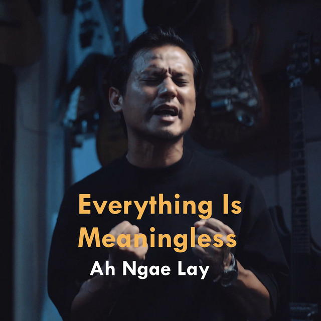 'Everything Is Meaningless' cover art