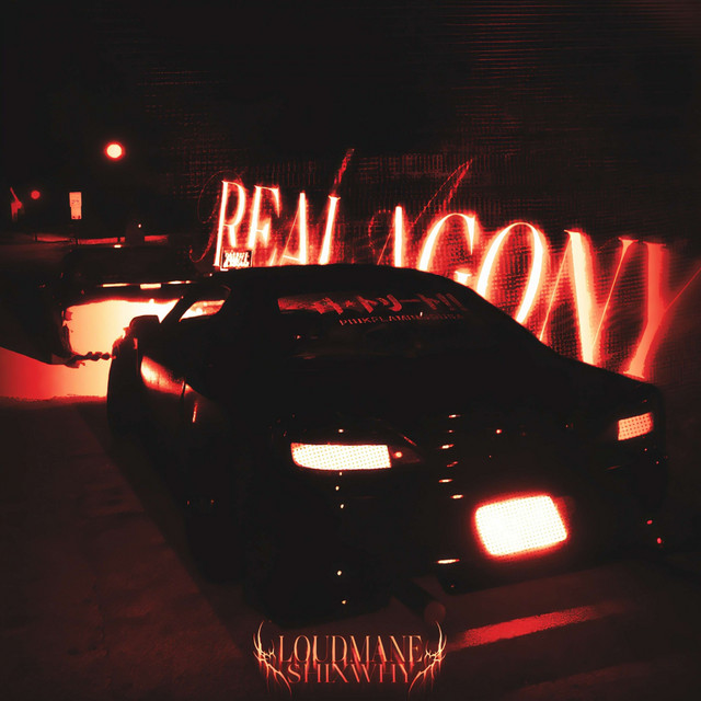 'REAL AGONY' cover art