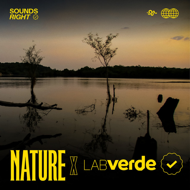 'Amazonian Nights' cover art