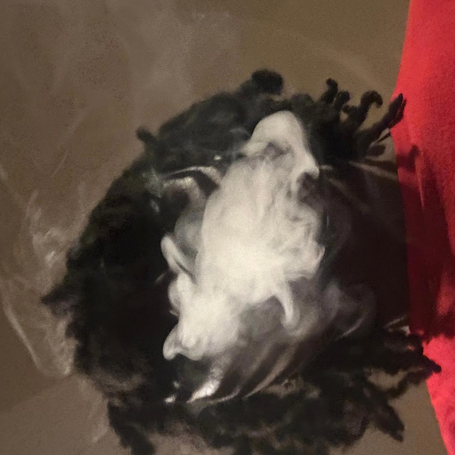 'INSANE' cover art