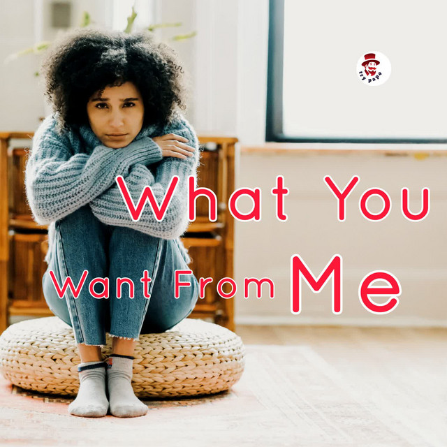'What You Want From Me ?' cover art