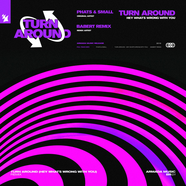 'Turn Around (Hey What's Wrong With You) [Babert Remix]' cover art