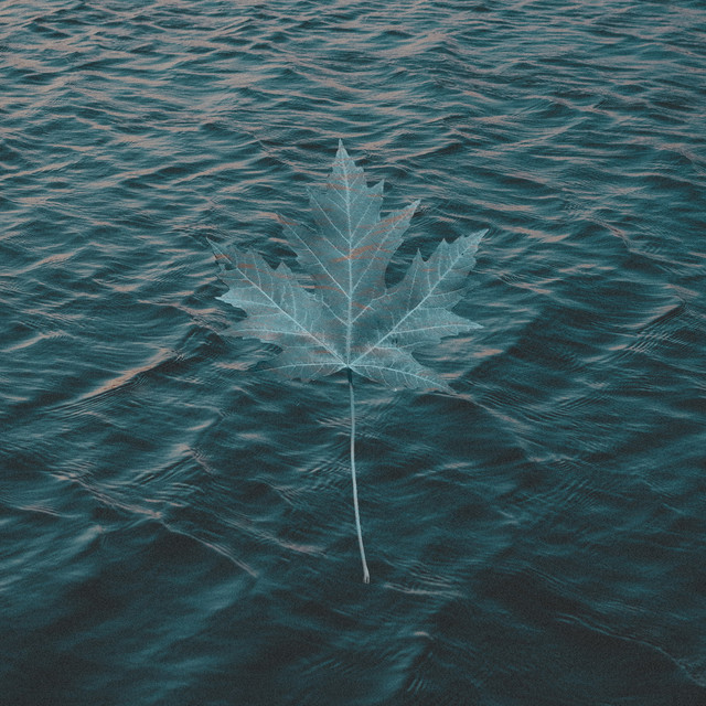 'Jiufen / Maple' cover art