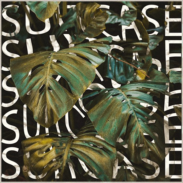 'Suitcase' cover art