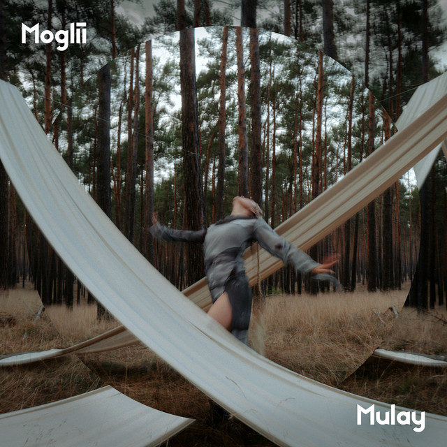 'Hidden in the Mist' cover art