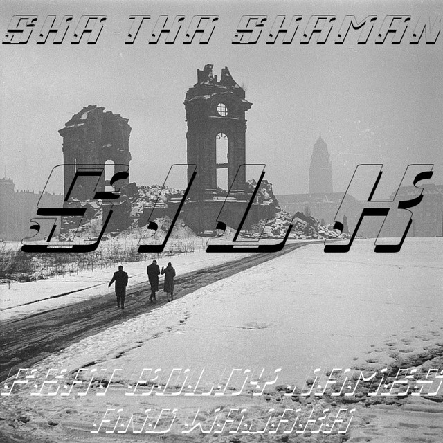 'SILK (Camoflauge Monk Remix)' cover art