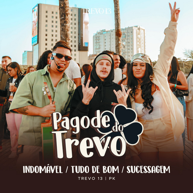 'Indomável / Tudo de Bom / Sucessagem (Ao Vivo)' cover art