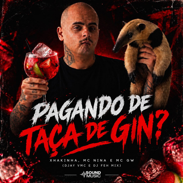 'PAGANDO DE TAÇA DE GIN' cover art