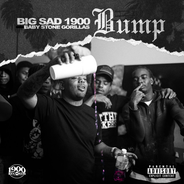 'Bump' cover art