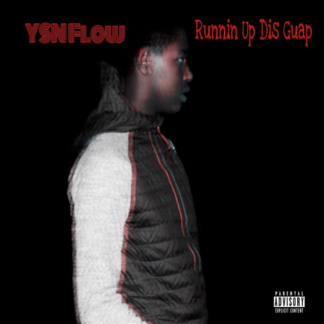 'Runnin' up Dis Guap' cover art
