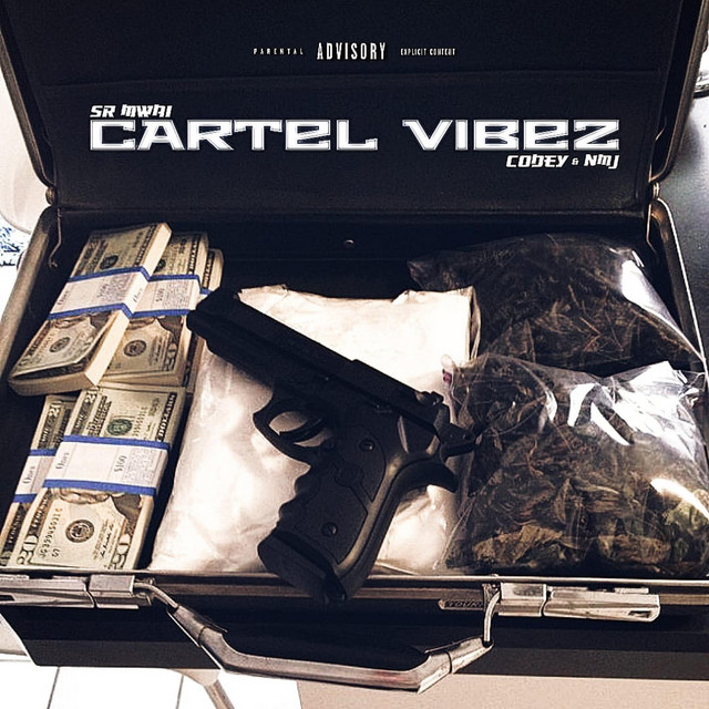 'CARTEL VIBEZ' cover art