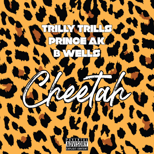 'Cheetah' cover art