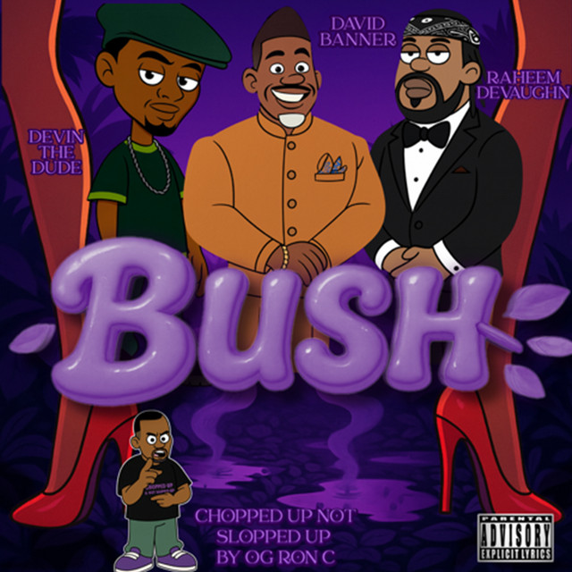'Bush (Chopnotslop Remix)' cover art