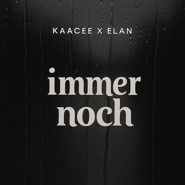 'Immer Noch' cover art