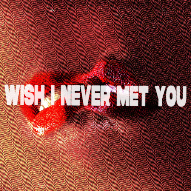 'Wish I Never Met You (Extended Mix)' cover art