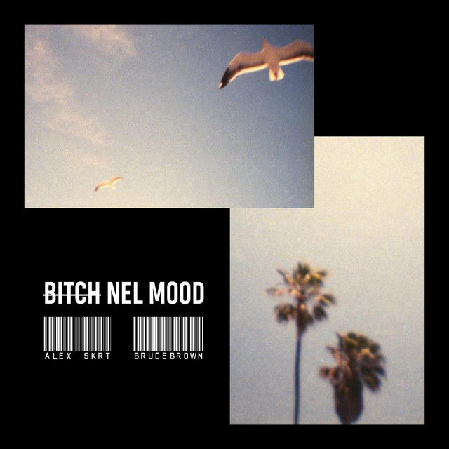 'Bitch Nel Mood' cover art