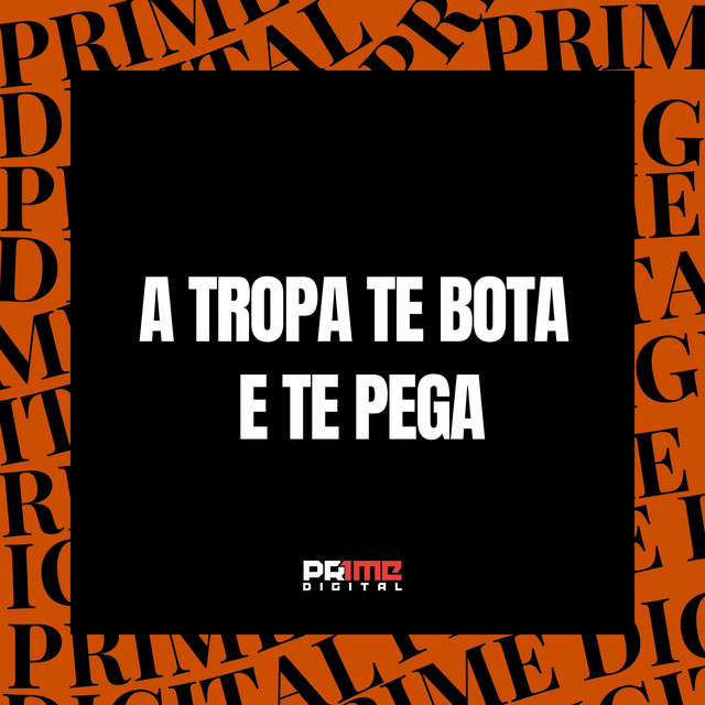 'A TROPA TE BOTA E TE PEGA' cover art
