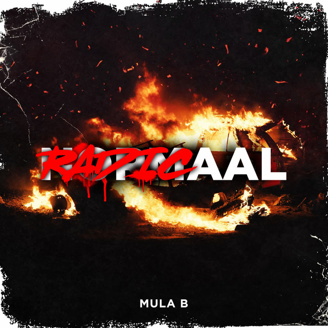 'Radicaal' cover art