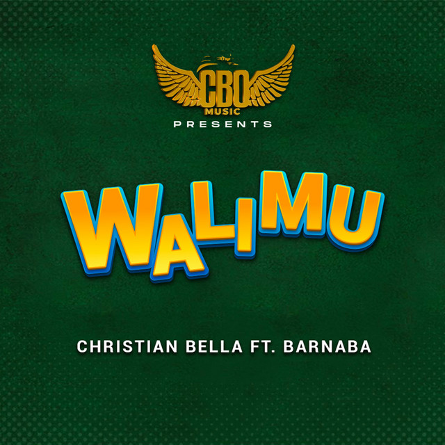 'Walimu' cover art