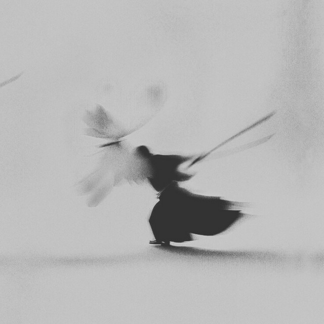 'Izanami' cover art