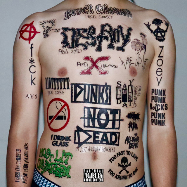 'PUNK’S NOT DEAD' cover art