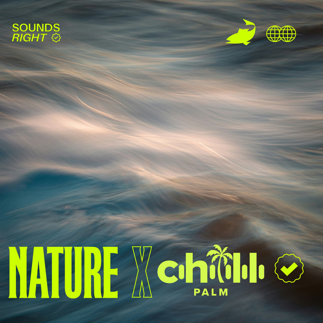 'Hawaiian Waves' cover art