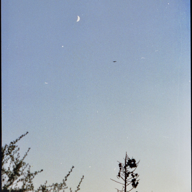 'sleeping alone' cover art