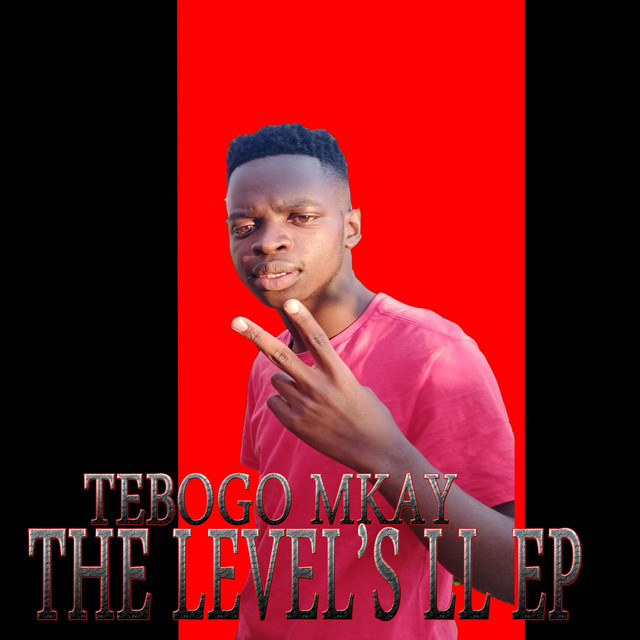'The Level's Ll' cover art