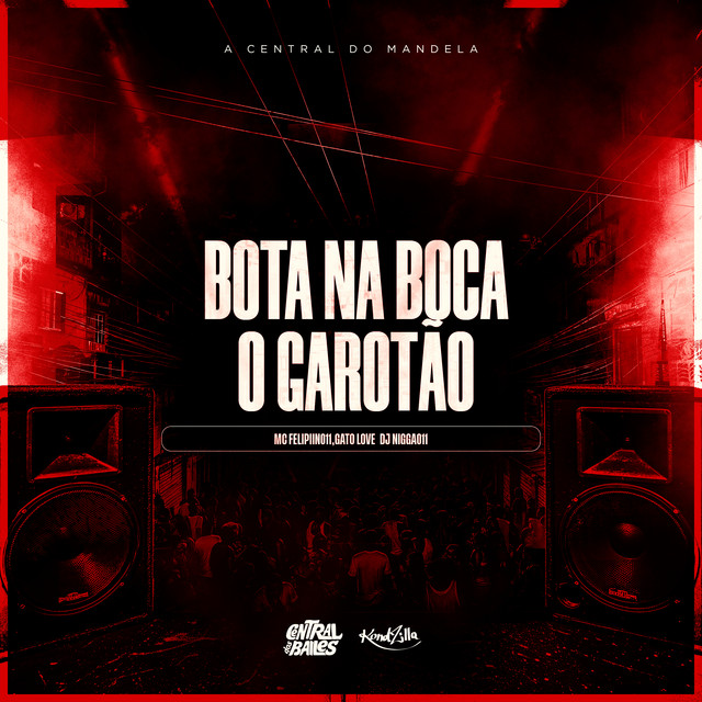 'Bota A Boca No Garotão' cover art
