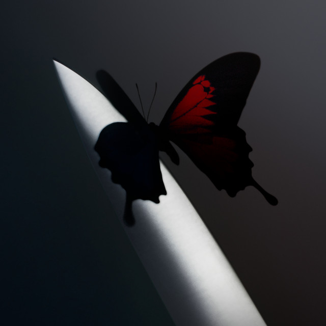 'Twelve Carat Toothache (Deluxe)' cover art