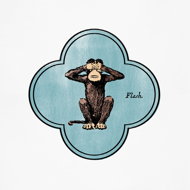 'Flash' cover art