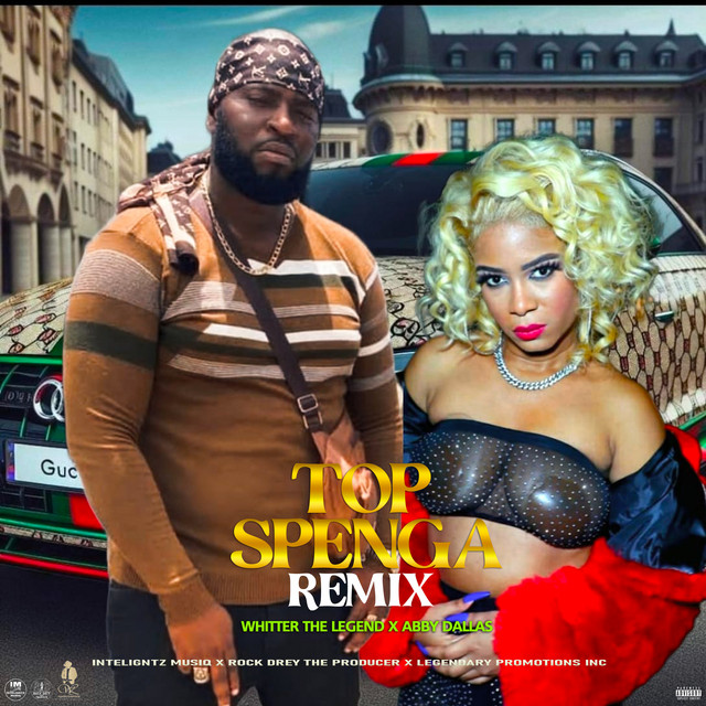 'Top Spenga (Remix)' cover art