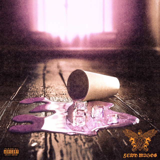 'FLWD MNGOS (feat. Flawed Mangoes)' cover art